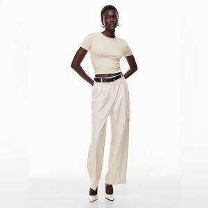 Aritzia Babaton Spotlight Cargo Pant